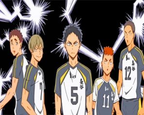 Haikyu Players paint by number