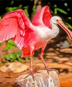 Pink Bird Roseate spoonbill paint by numbers