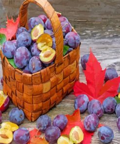 Plums Fruit Basket paint by numbers