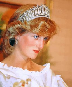 Pretty Princess Diana paint by numbers