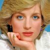 Princess Diana paint by number