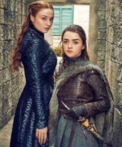 Queen Sansa And Arya Game Of Thrones paint by numbers