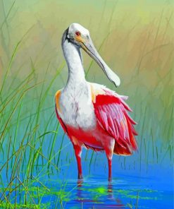Roseate spoonbill Bird Animal paint by number