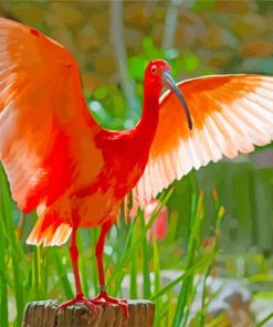 Scarlet Ibis Big Wings paint by numbers