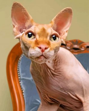Sphinx Cat Animal paint by number