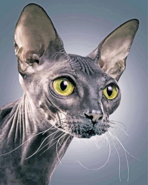 Sphinx cat paint by number