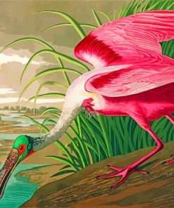 Spoonbill Bird Animal paint by numbers