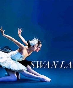 Swan Lake Dancer Paint by number