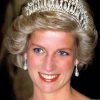 The Princess Diana paint by numbers