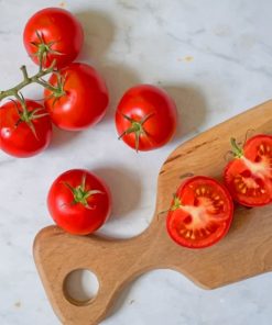 Tomato-Photography-paint-by-numbers