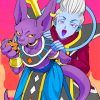 Whis And Beerus paint by number
