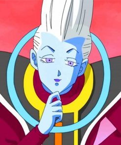 whis Dragon Ball Anime paint by numbers