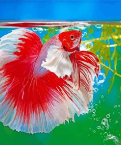 White Red Siamese Fighting Fish Paint by numbers