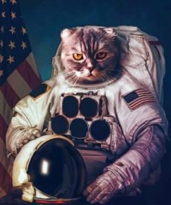 Space Astronaut Cat Paint by numbers