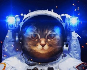 Aesthetic Space Astronaut Cat Paint by numbers