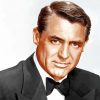 cary grant paint by numbers
