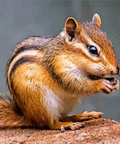 chipmunk Rodent paint by number