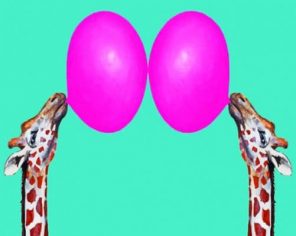 Giraffes With Bubblegum paint by numbers