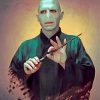 lord voldemort art paint by number