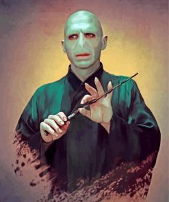 lord voldemort art paint by number