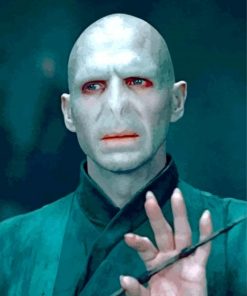 lord voldemort from harry potter paint by number