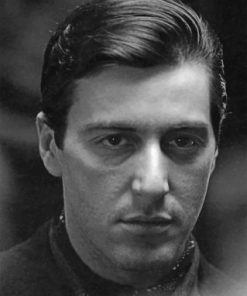 Michael Corleone paint by numbers