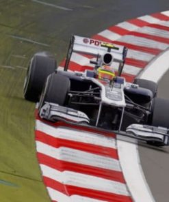 Pastor Maldonado Formula One Paint by numbers