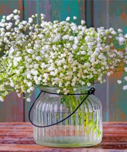 Babys Breath Plants paint by numbers