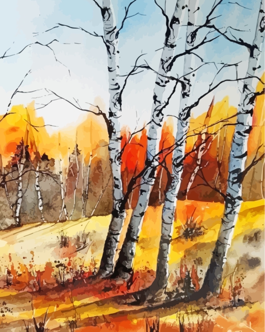 Birch Trees Forest paint by numbers