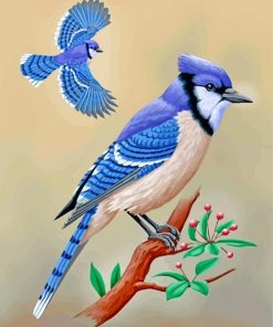 Blue Jay Birds paint by numbers