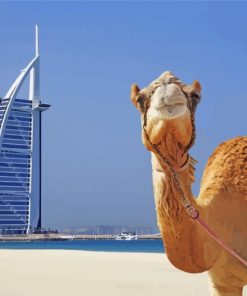 Camel And Burj Al Arab Paint by numbers