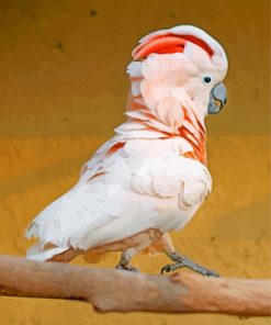 Cockatoo bird paint by number