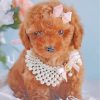 Cute Brown Poodle Paint By Number