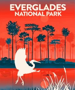 Everglades National Park Illustration Poster Paint by numbers