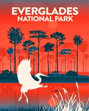 Everglades National Park Illustration Poster Paint by numbers