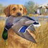 Labrador And Mallards paint by numbers