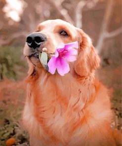 Labrador Retriever And Flower paint by numbers