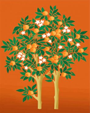 Orange Tree illustration paint by number