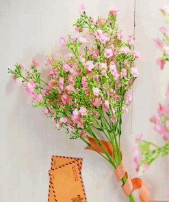 Pink Babys Breath Plants paint by number