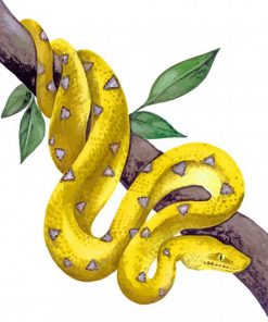 Royal Python paint by numbers