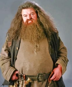 Rubeus Hagrid From Harry Potter paint by number