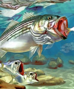 Striped Bass Fish paint by numbers