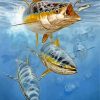Striper fishes paint by numbers