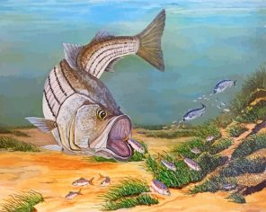 The Striped Bass Fish paint by number