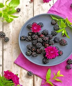 aesthetic blackberries paint by number