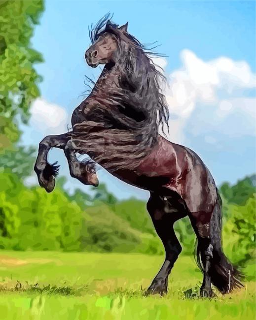 Black Friesian paint by number