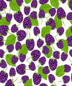Blackberries Illustration paint by numbers