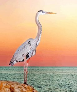 blue heron paint by numbers
