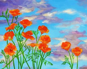 california poppy paint by number