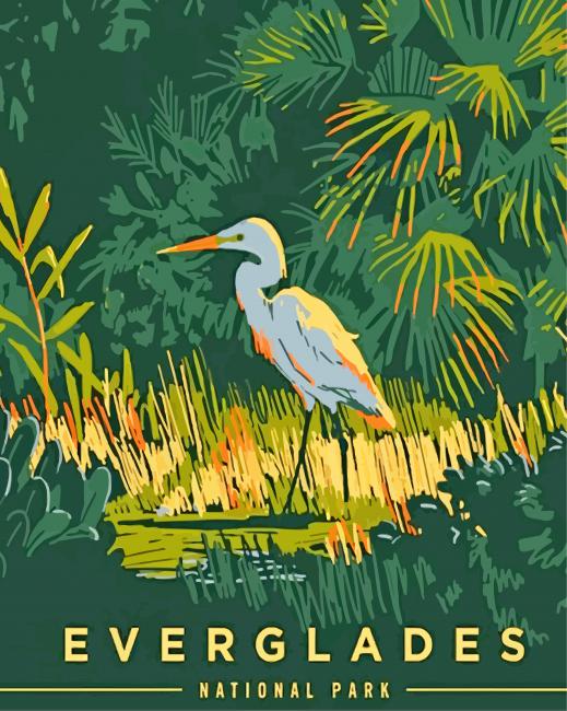 Everglades National Park Bird paint by numbers